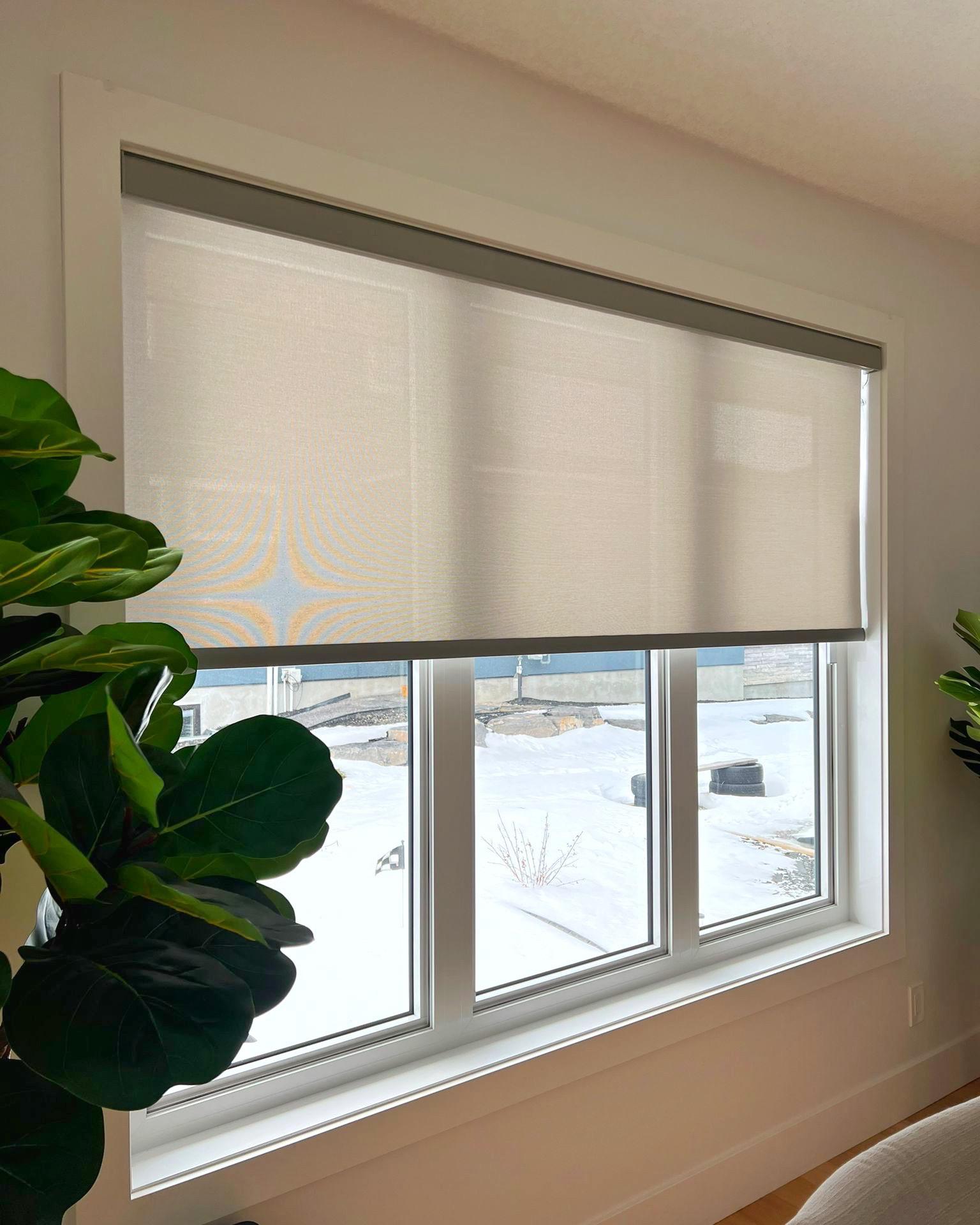 Comparison of different solar shade openness factors showing light filtration differences